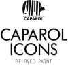 caparol icons logo klein